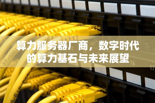 算力服务器厂商，数字时代的算力基石与未来展望