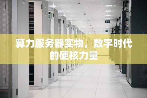 算力服务器实物，数字时代的硬核力量