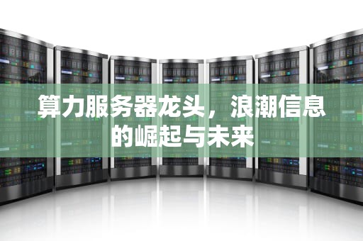 算力服务器龙头，浪潮信息的崛起与未来