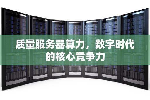 质量服务器算力，数字时代的核心竞争力