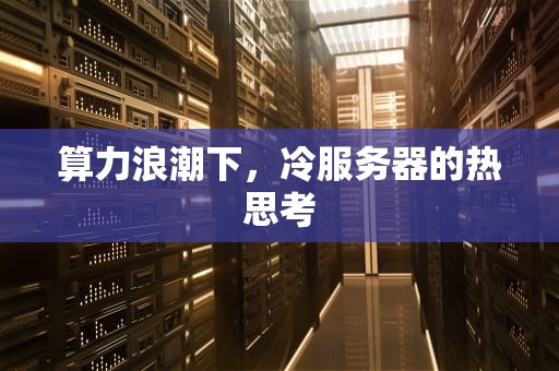 算力浪潮下，冷服务器的热思考
