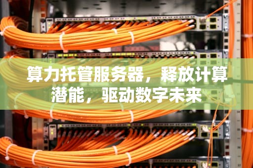 算力托管服务器，释放计算潜能，驱动数字未来