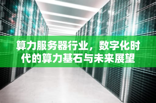 算力服务器行业，数字化时代的算力基石与未来展望