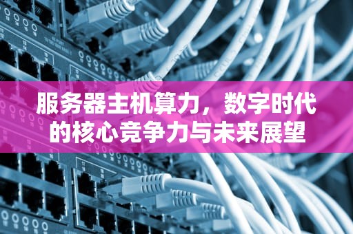 服务器主机算力，数字时代的核心竞争力与未来展望
