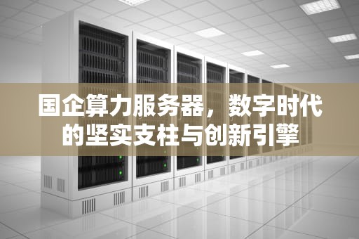 国企算力服务器，数字时代的坚实支柱与创新引擎