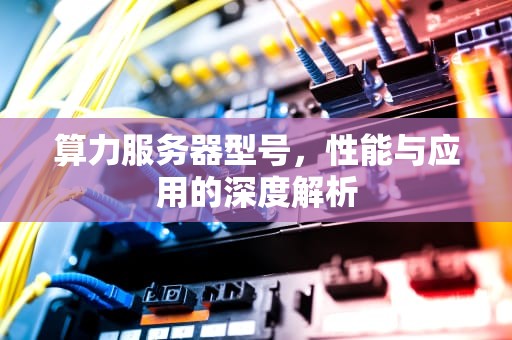 算力服务器型号，性能与应用的深度解析