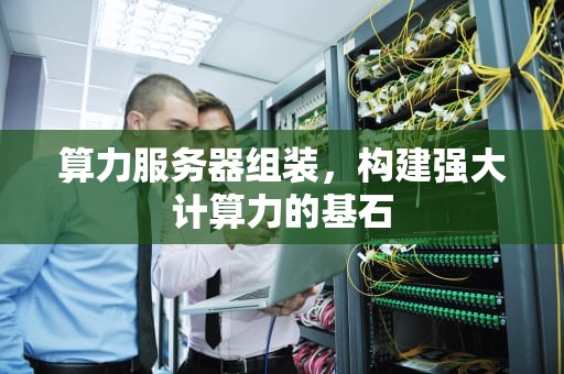 算力服务器组装，构建强大计算力的基石