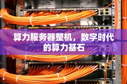 算力服务器整机，数字时代的算力基石