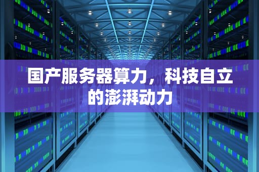 国产服务器算力，科技自立的澎湃动力