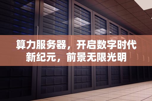 算力服务器，开启数字时代新纪元，前景无限光明