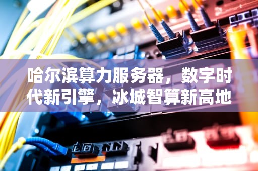 哈尔滨算力服务器，数字时代新引擎，冰城智算新高地