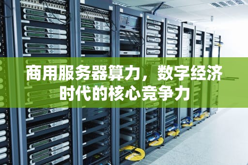 商用服务器算力，数字经济时代的核心竞争力