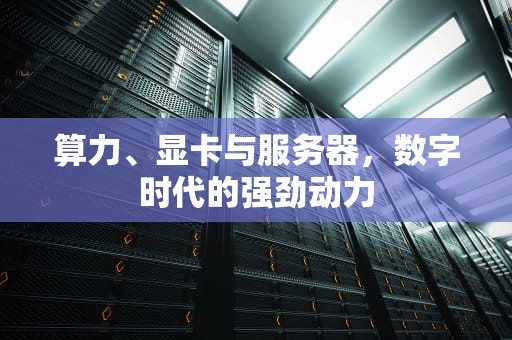 算力、显卡与服务器，数字时代的强劲动力