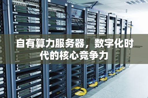 自有算力服务器，数字化时代的核心竞争力
