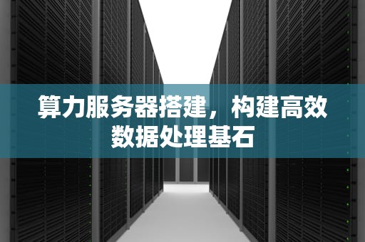 算力服务器搭建，构建高效数据处理基石