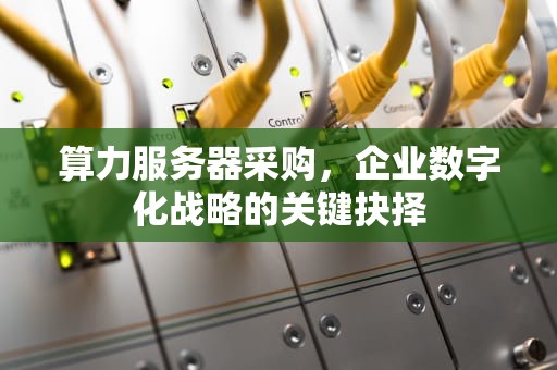 算力服务器采购，企业数字化战略的关键抉择