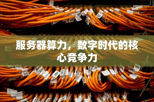 服务器算力，数字时代的核心竞争力