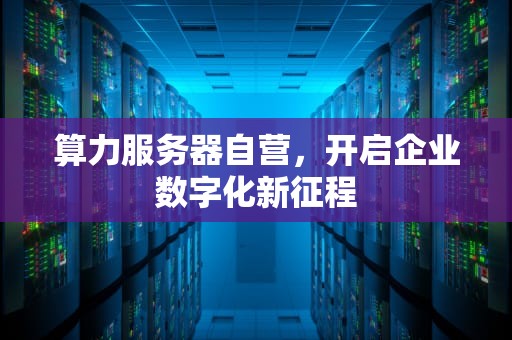 算力服务器自营，开启企业数字化新征程