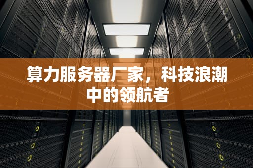 算力服务器厂家，科技浪潮中的领航者