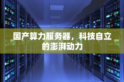 国产算力服务器，科技自立的澎湃动力