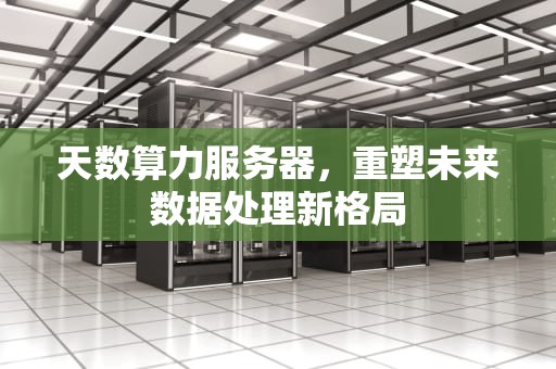天数算力服务器，重塑未来数据处理新格局