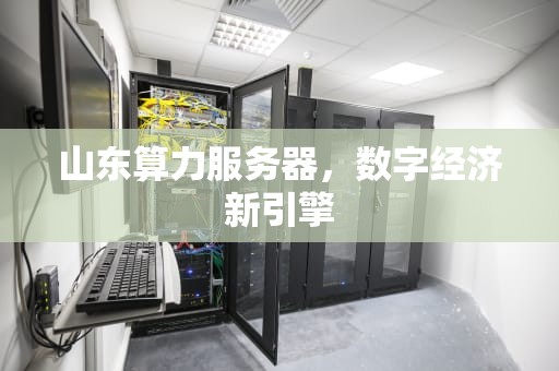山东算力服务器，数字经济新引擎