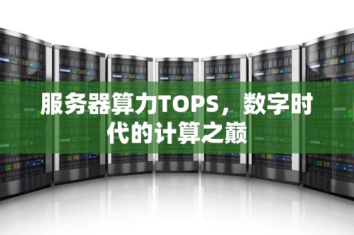 服务器算力TOPS，数字时代的计算之巅