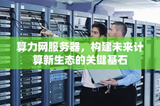 算力网服务器，构建未来计算新生态的关键基石