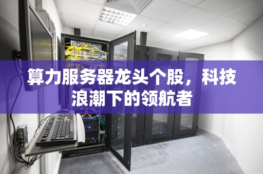算力服务器龙头个股，科技浪潮下的领航者