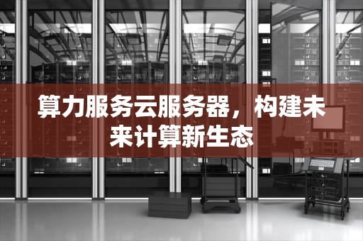 算力服务云服务器，构建未来计算新生态