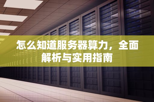 怎么知道服务器算力，全面解析与实用指南