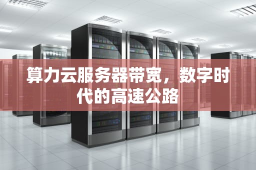 算力云服务器带宽，数字时代的高速公路