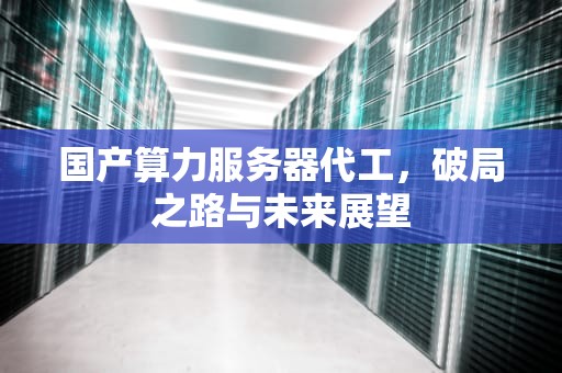 国产算力服务器代工，破局之路与未来展望