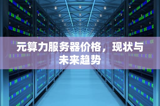 元算力服务器价格，现状与未来趋势