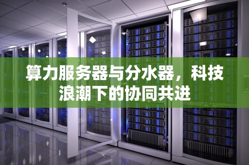 算力服务器与分水器，科技浪潮下的协同共进