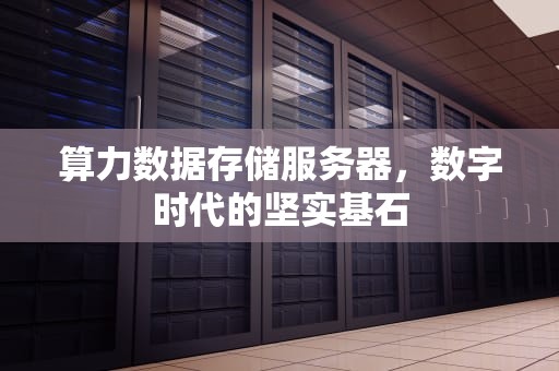 算力数据存储服务器，数字时代的坚实基石