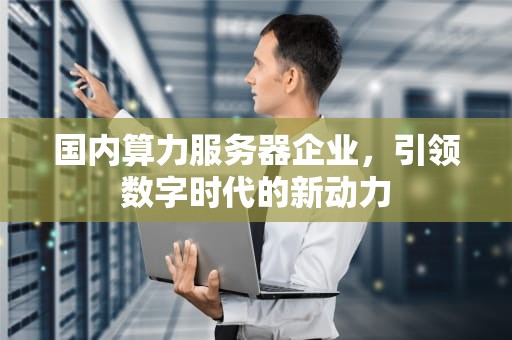 国内算力服务器企业，引领数字时代的新动力