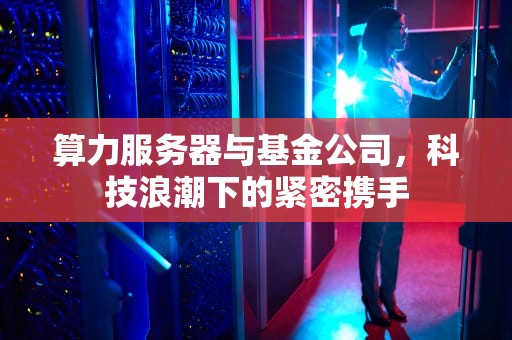 算力服务器与基金公司，科技浪潮下的紧密携手