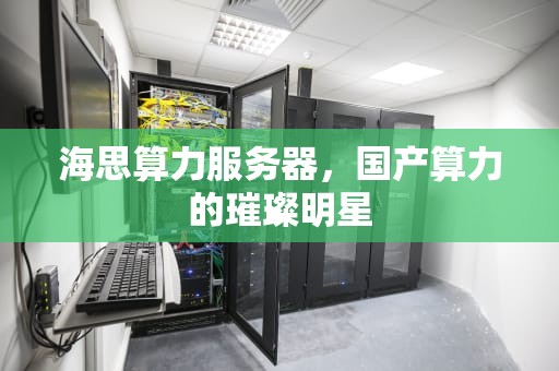 海思算力服务器，国产算力的璀璨明星