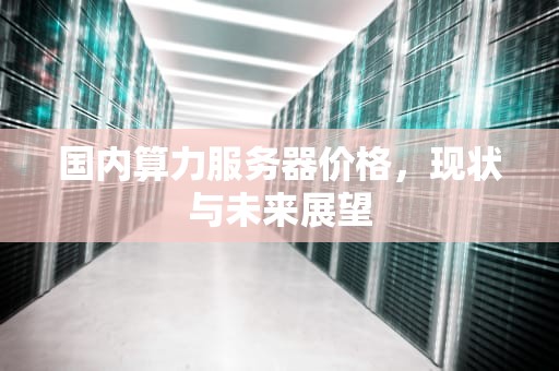 国内算力服务器价格，现状与未来展望