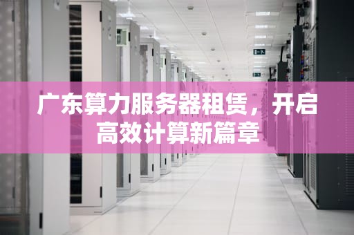 广东算力服务器租赁，开启高效计算新篇章