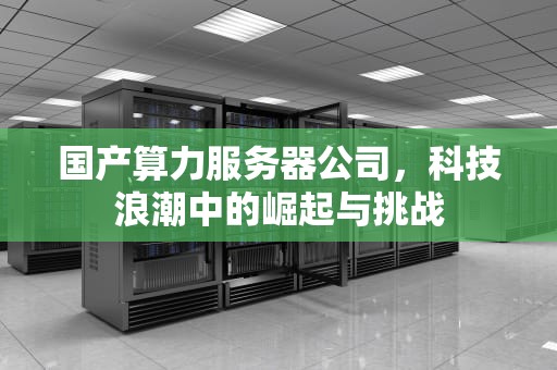 国产算力服务器公司，科技浪潮中的崛起与挑战