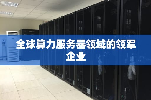 全球算力服务器领域的领军企业