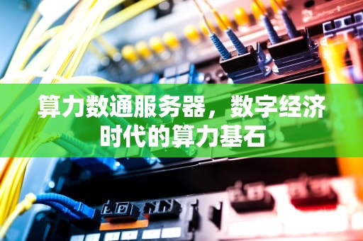 算力数通服务器，数字经济时代的算力基石
