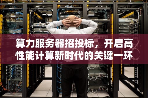 算力服务器招投标，开启高性能计算新时代的关键一环