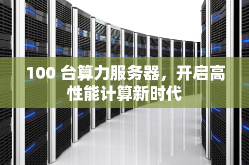 100 台算力服务器，开启高性能计算新时代