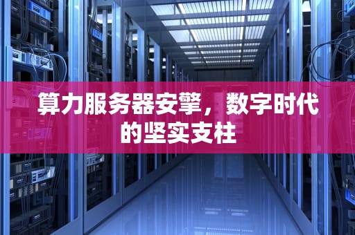 算力服务器安擎，数字时代的坚实支柱