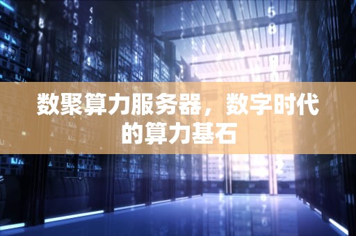 数聚算力服务器，数字时代的算力基石