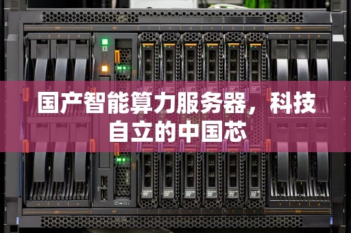 国产智能算力服务器，科技自立的中国芯