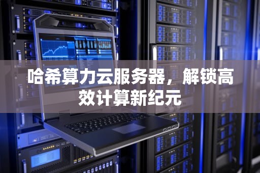 哈希算力云服务器，解锁高效计算新纪元